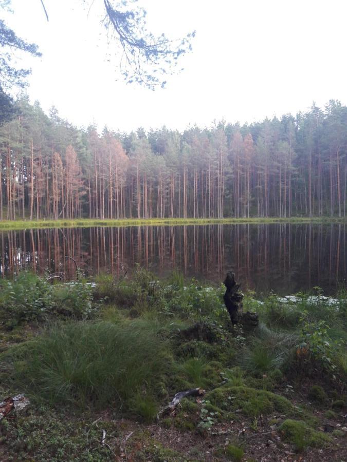 Apartament Lake Apartment Wisaginia