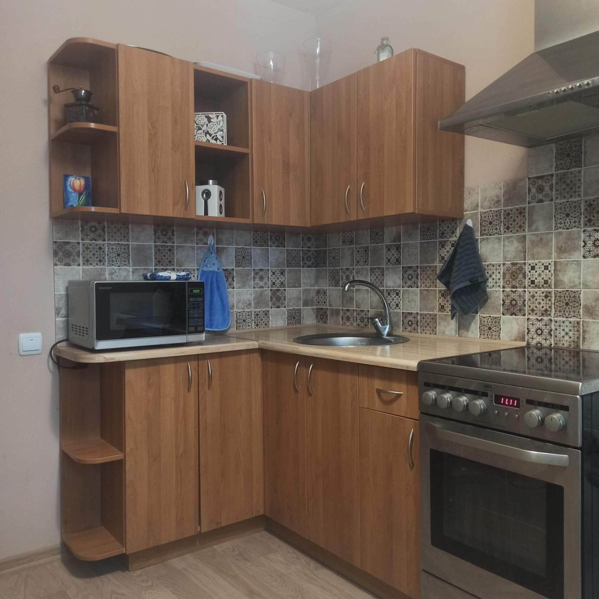 Lake Apartment Apartament Wisaginia